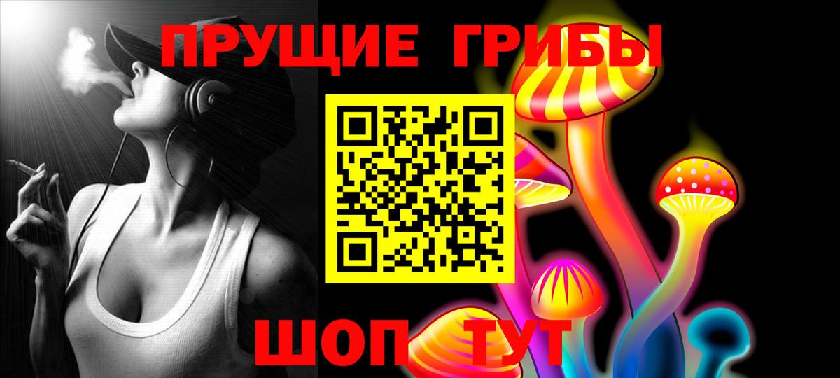 Псилоцибиновые грибы Psilocybe Грязи