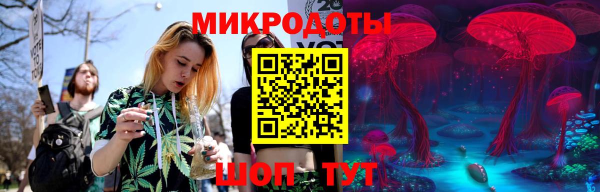 Грязи  Псилоцибиновые грибы Cubensis  Вход с VPN 